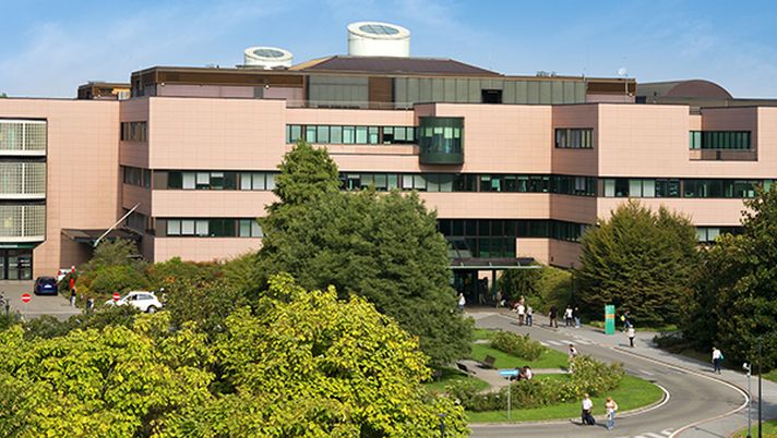 Mascherine per l'Humanitas: le manda Ibra Mascherine per l'Humanitas: le manda Ibra