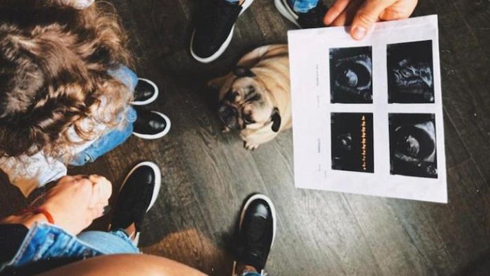 Lady Lautaro contro chi aveva messo in giro la voce della gravidanza: “Volevo uscisse da noi” - immagine 1