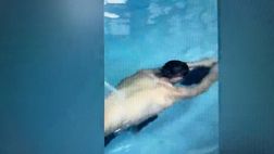 VIDEO / Nadal, che polmoni: apnea infinita