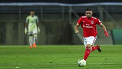 Mercato Lazio – Contatto per Zivkovic: arrivano smentite