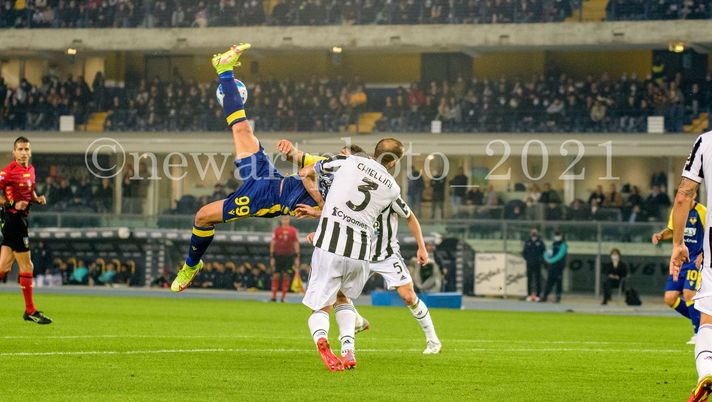 Verona verso Napoli, l’allenamento dell’Hellas - immagine 1