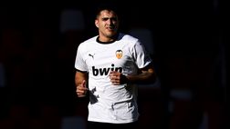 Ceccarini: “La Fiorentina su Kokorin e Maxi Gomez”