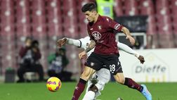 Fantacalcio Salernitana, altra tegola: lungo infortunio per Perotti