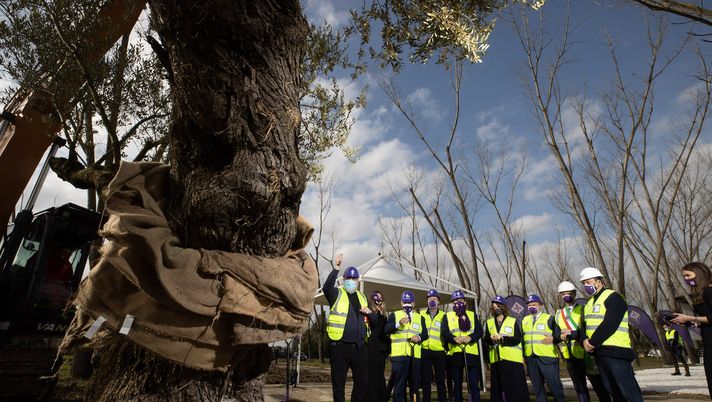 Bagno a Ripoli (FI), presentazione e piantumazione del primo ulivo al Viola Park ACF Fiorentina 2021-02-05 © Massimo Sestini 