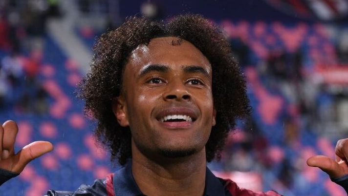 BREAKING – Bologna, novità verso la Salernitana: Zirkzee è tornato in gruppo - immagine 1