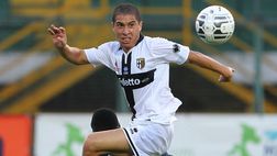 Focus on: Jose Mauri