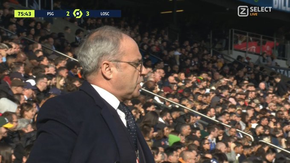 La crisi del PSG in uno scatto: il ds Campos scende in panchina!- immagine 2