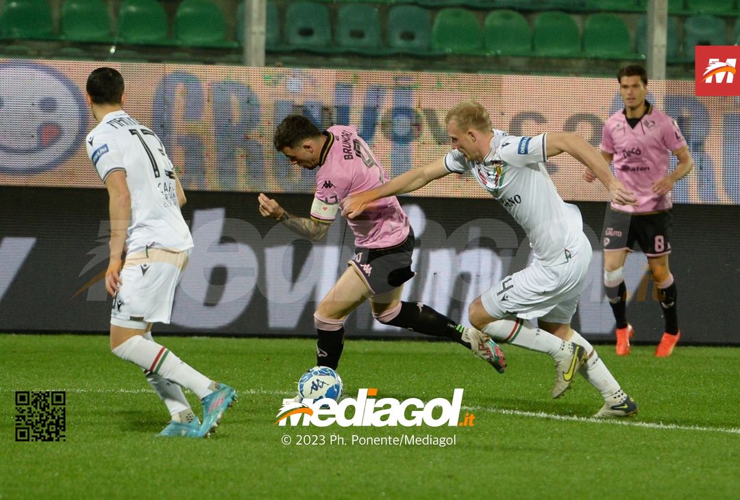 FOTO Palermo-Ternana 0-0, 27ª giornata di Serie B 2022-2023 (La Gallery) - immagine 4