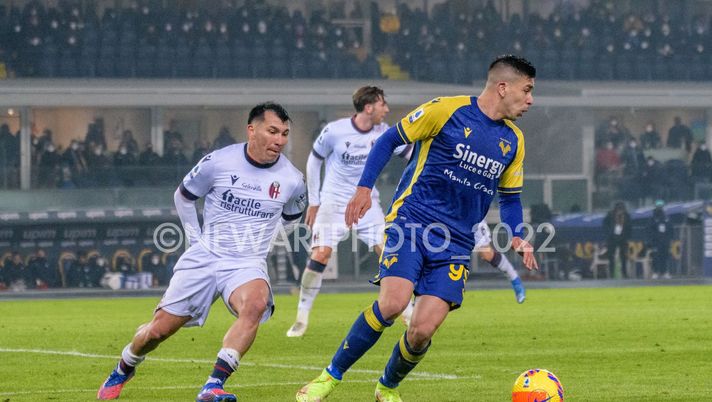 Nazionali, niente Argentina per Simeone Nazionali, niente Argentina per Simeone - immagine 1