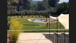 VIDEO / Ventola e Moser insieme in vacanza: il rinvio è da paperissima