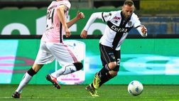 Calciomercato Avellino, l’ex Chievo Pellissier: “Di Gaudio? In C sposta equilibri”