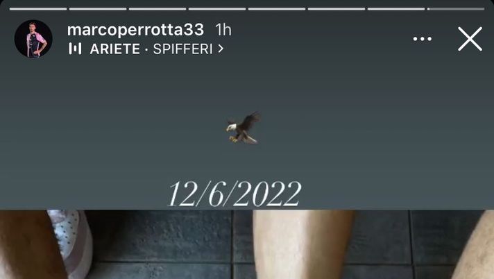 FOTO Palermo, tatuaggio celebrativo per Massolo, Soleri e Perrotta: 12-06-2022 Palermo