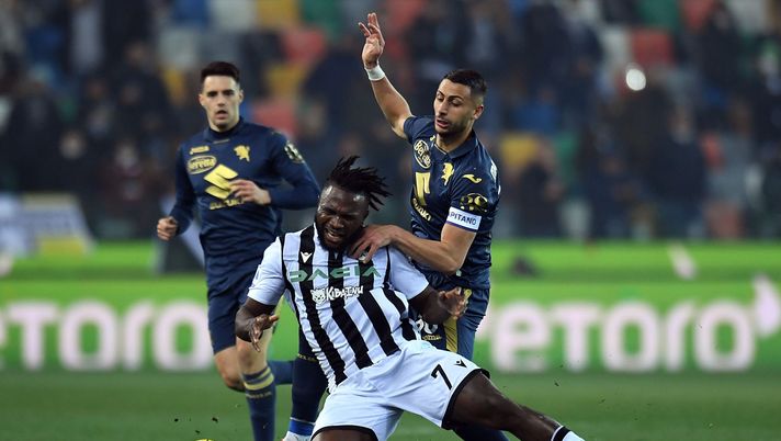 Success e Mandragora Success e Mandragora