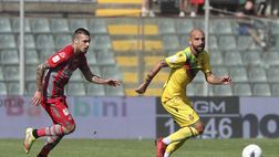 Ternana-Cittadella, rosso per Proietti: salterà il match contro il Palermo