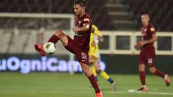 Ternana, verso il Palermo: buone notizie per Lucarelli, in gruppo Pettinari e Bogdan