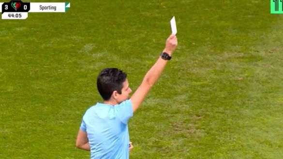 Per la prima volta nella storia del calcio spunta il cartellino bianco. Il caso- immagine 2