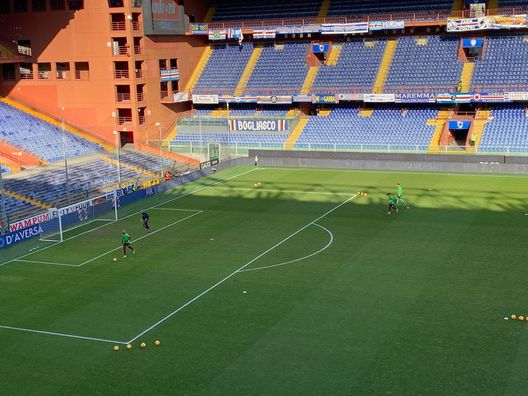 Sampdoria-Torino, le ultime dai campi: terminato il riscaldamento- immagine 3