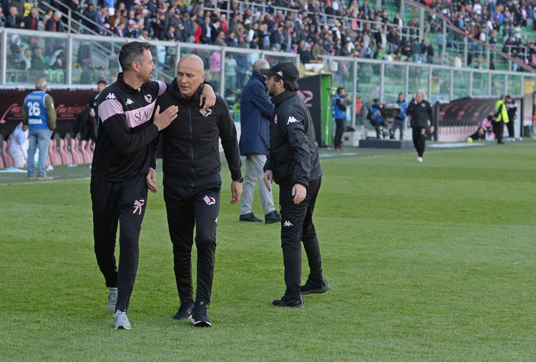 FOTO Palermo-Benevento 1-1, 34ª giornata di Serie B 2022-2023 (La Gallery) - immagine 74