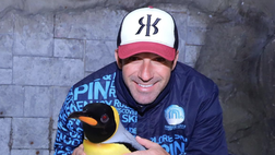 Del Piero e i pinguini a Dubai, scoppia la polemica social: cos’è successo
