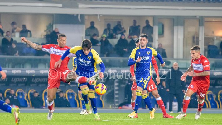 Verona verso lo Spezia, domani la ripresa Verona verso lo Spezia, domani la ripresa - immagine 1