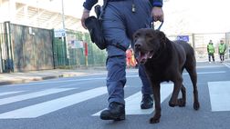 VIDEO VN – Fiorentina-Maccabi Haifa: sicurezza al massimo livello