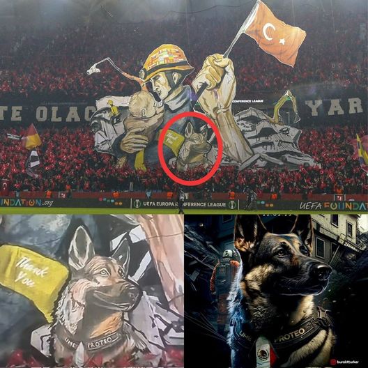 Trabzonspor, la coreografia del soccorritore, del bimbo e del cane commuove il mondo- immagine 2