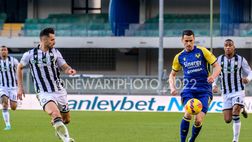 Verona, Lasagna spinge per esserci col Genoa