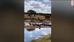 VIDEO / Ilary Blasi, in spiaggia in Tanzania dopo la rottura con Totti