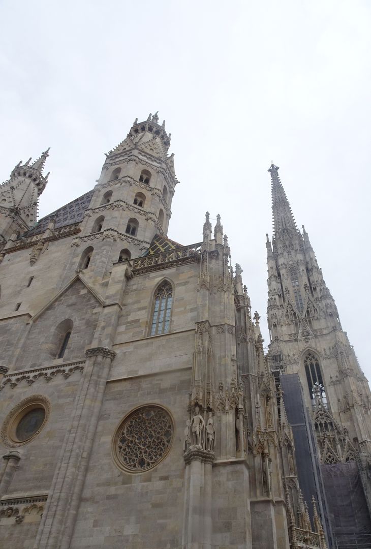 GALLERY PM – Qui Vienna, viaggio tra le strade austriache - immagine 5