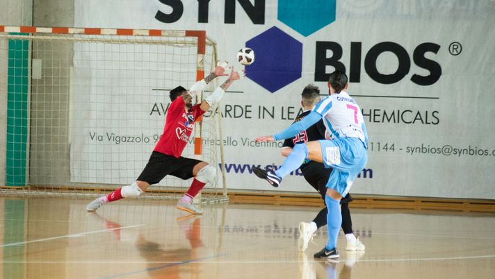 Stasera alle 20 in campo a Eboli, il Syn-Bios Petrarca vuole tornare a vincere - immagine 1