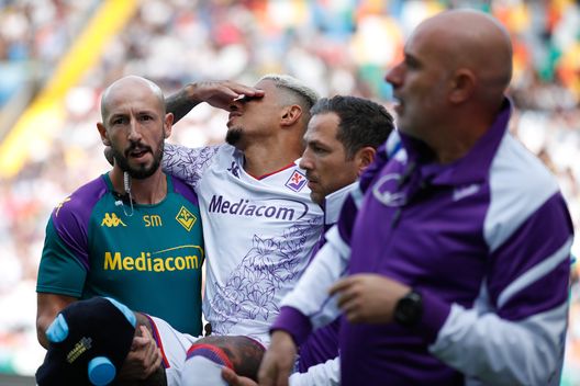 L’infortunio, la sofferenza e i sorrisi: la rinascita di Dodò- immagine 2