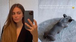 Tonali in Nazionale, la fidanzata posta la foto della cagnolina distrutta per la sua mancanza