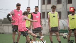 Palermo, verso i playoff: Baldini e le prove di formazione. Dubbio in mezzo al campo