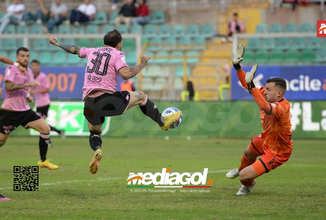 FOTO Palermo-Cittadella 0-0 – 10a giornata Serie B 2022-23 (Gallery) - immagine 55