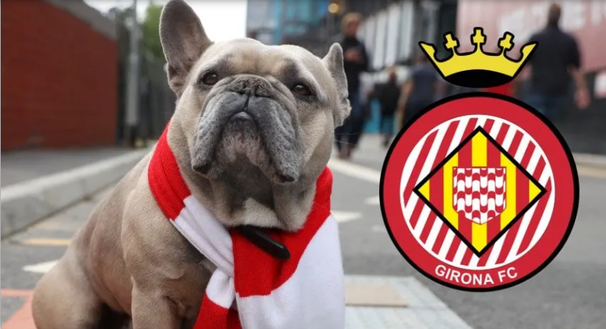 Girona, ritorno in Liga e una proposta rivoluzionaria: essere il primo club pet friendly al mondo- immagine 2