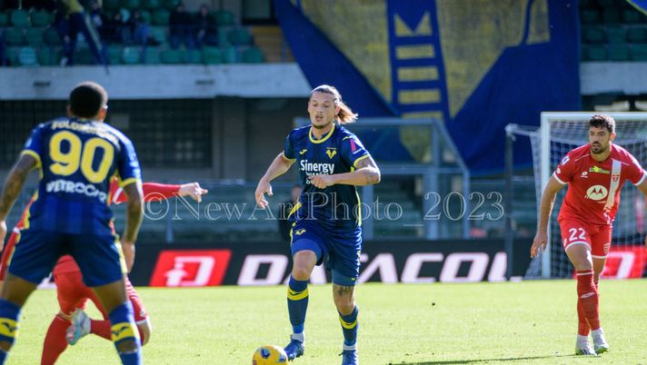 Attacco Verona, dubbio Djuric-Bonazzoli col Lecce Attacco Verona, dubbio Djuric-Bonazzoli col Lecce - immagine 1