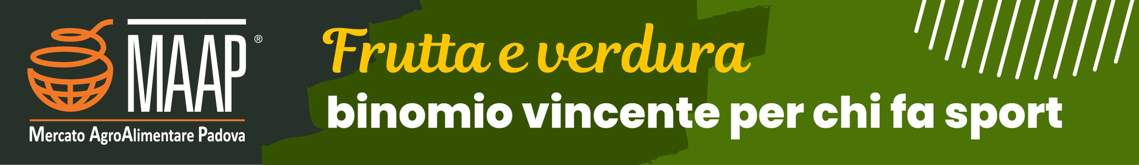 Vicenza, Vecchi: “Anche il Padova non stravince più come prima, lotteremo fino alla fine”- immagine 2