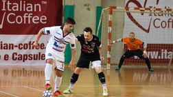 Italian Coffee Petrarca, si lavora per la prossima stagione (ancora in serie A1)