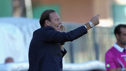 Marcolin: “Immobile studia per diventare titolare in Nazionale”