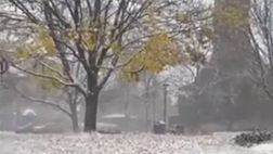 Insigne “regista”: quanta neve a Toronto… (VIDEO)