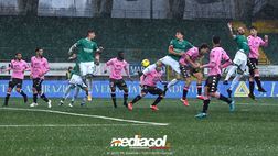 LIVE, Avellino-Palermo: al “Partenio” termina uno a zero. Rosanero eliminati dai “Lupi”