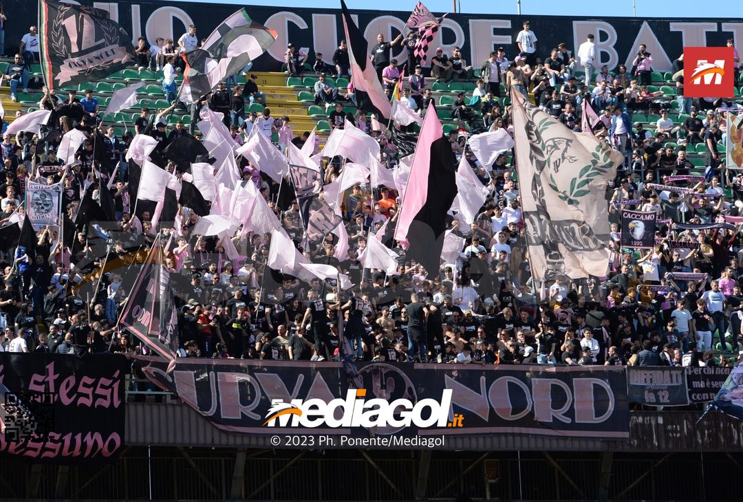 FOTO Palermo-Benevento 1-1, 34ª giornata di Serie B 2022-2023 (La Gallery) - immagine 53