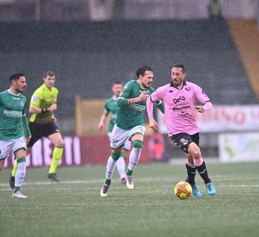 Foto Palermo Calcio Foto Palermo Calcio