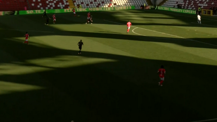 FINALE Triestina-Padova 0-2 (14′ Ronaldo rig., 75′ Jelenic) - immagine 1
