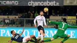 Verona-Bologna 2-3: Cerci illude Pecchia, rimonta rossoblu firmata Donsah