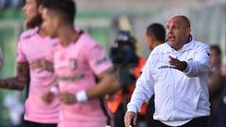Tedino: “Novara? I maleducati sono ovunque. Domani chi giocherà darà tutto”. E su Fiordilino…