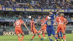 Napoli-Verona, la probabile formazione dell’Hellas