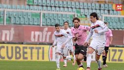 Palermo, verso la sfida contro la Casertana: al “Pinto” solo vittorie in Coppa Italia. I precedenti