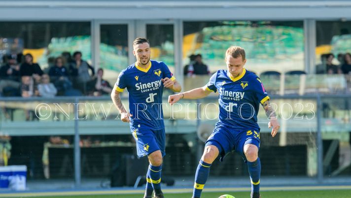 Verona, oggi la ripresa. Domenica la Sampdoria, poi la sosta Verona, oggi la ripresa. Domenica la Sampdoria, poi la sosta - immagine 1