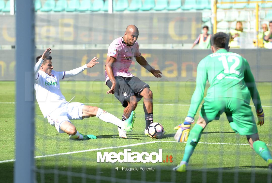  ipp/pasqualeponente
palermo 30/04/2017
campionato di calcio serie a 2016/17
palermo - fiorentina
gol di haitam aleesami
italy photo press - world copyright 